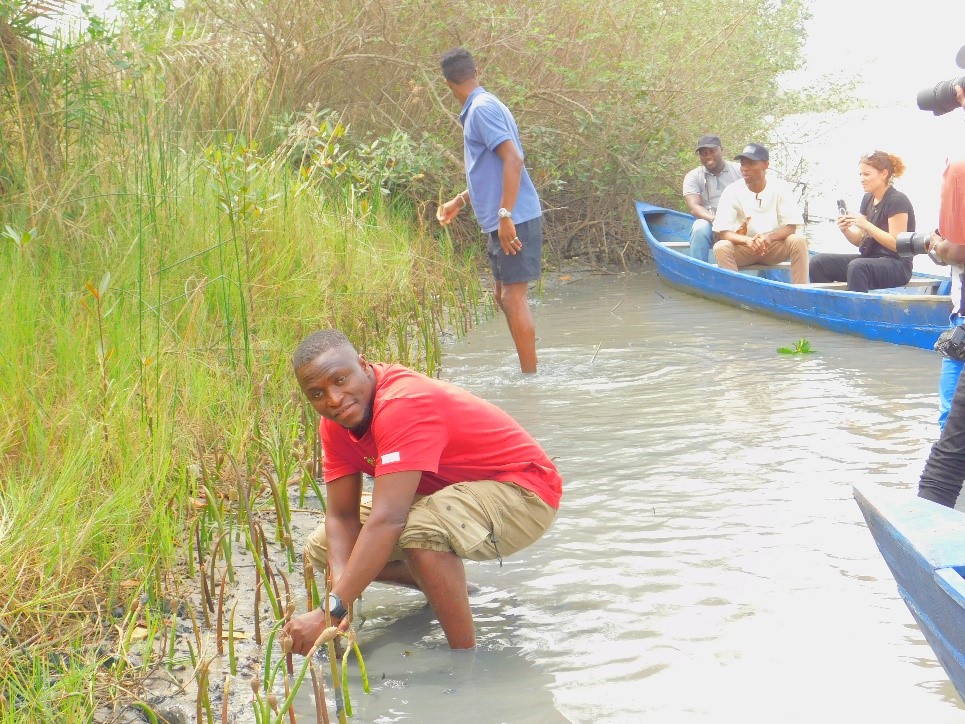 Restaurer les mangroves pour l’adaptation Climatique à Kpomassè