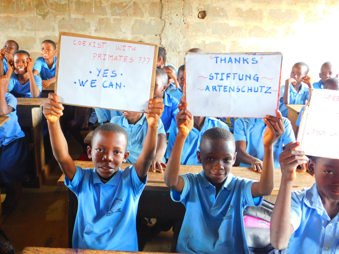 Conflit homme-primate: implication des enfants dès le plus jeune âge (Phase I)