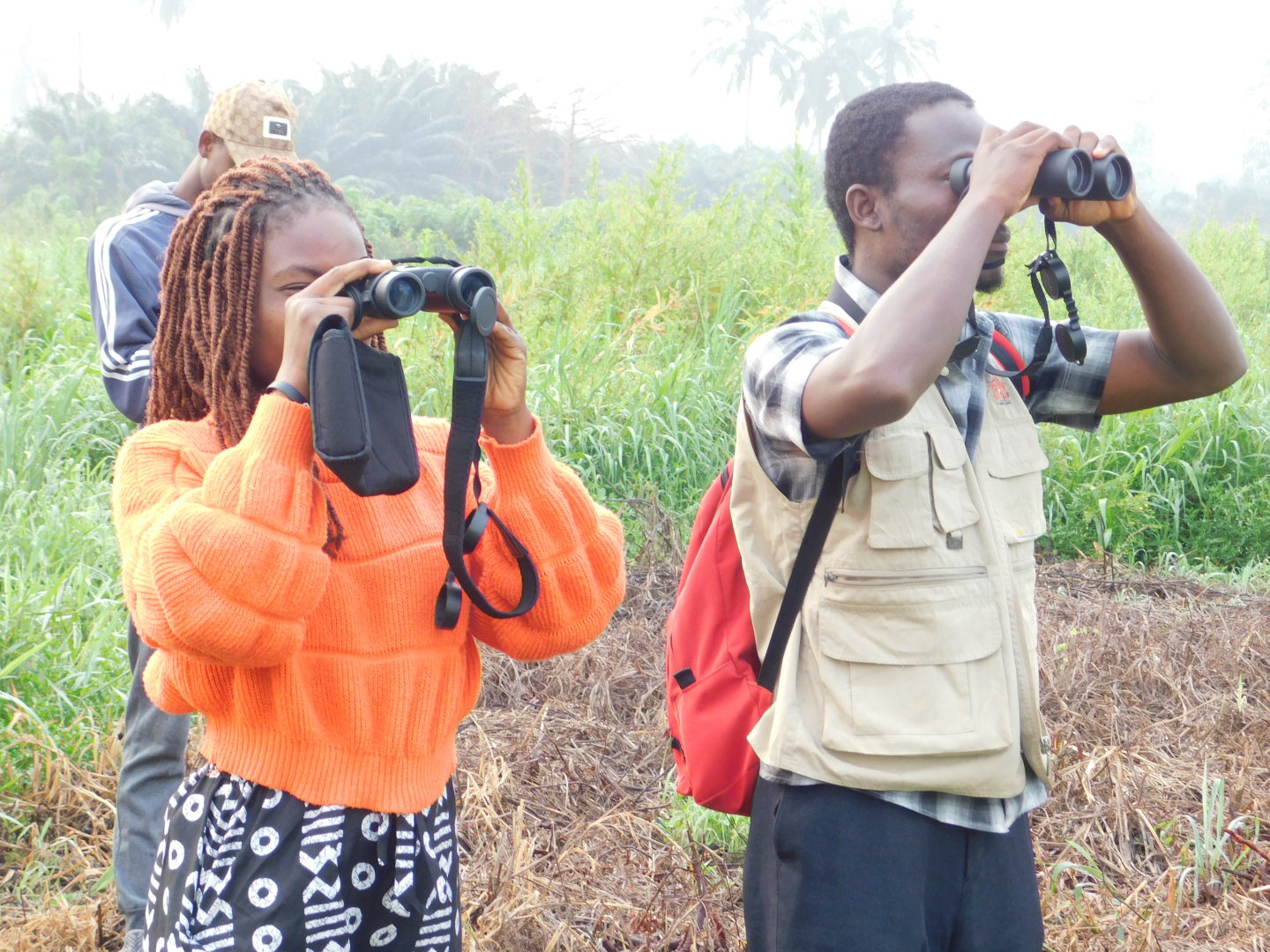 🐦 Suivi ornithologique dans la Vallée de l’Ouémé
